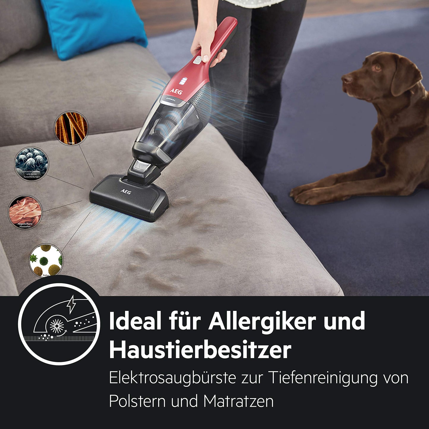 AEG Ergorapido 2in1 Akku-Staubsauger – Beutellos, Tierhaardüse, 45 Min Laufzeit, LED-Frontlicht, Rot